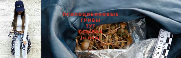 прущая мука Сатка