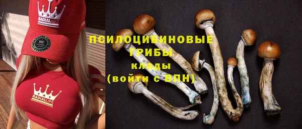 Альфа ПВП Бронницы