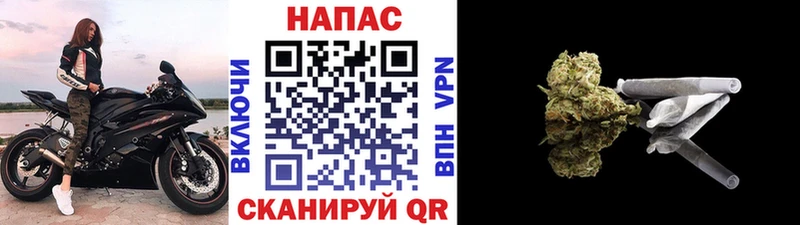 Конопля семена Ачхой-Мартан